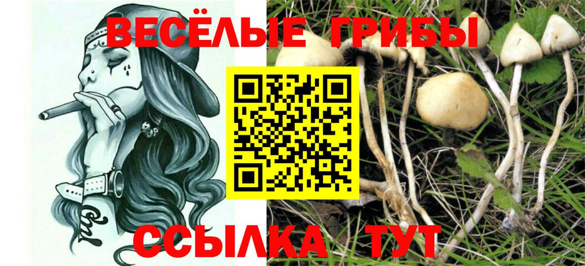 Галлюциногенные грибы GOLDEN TEACHER  Вход с VPN  Псилоцибиновые грибы Cubensis  купить  цена  Каспийск 