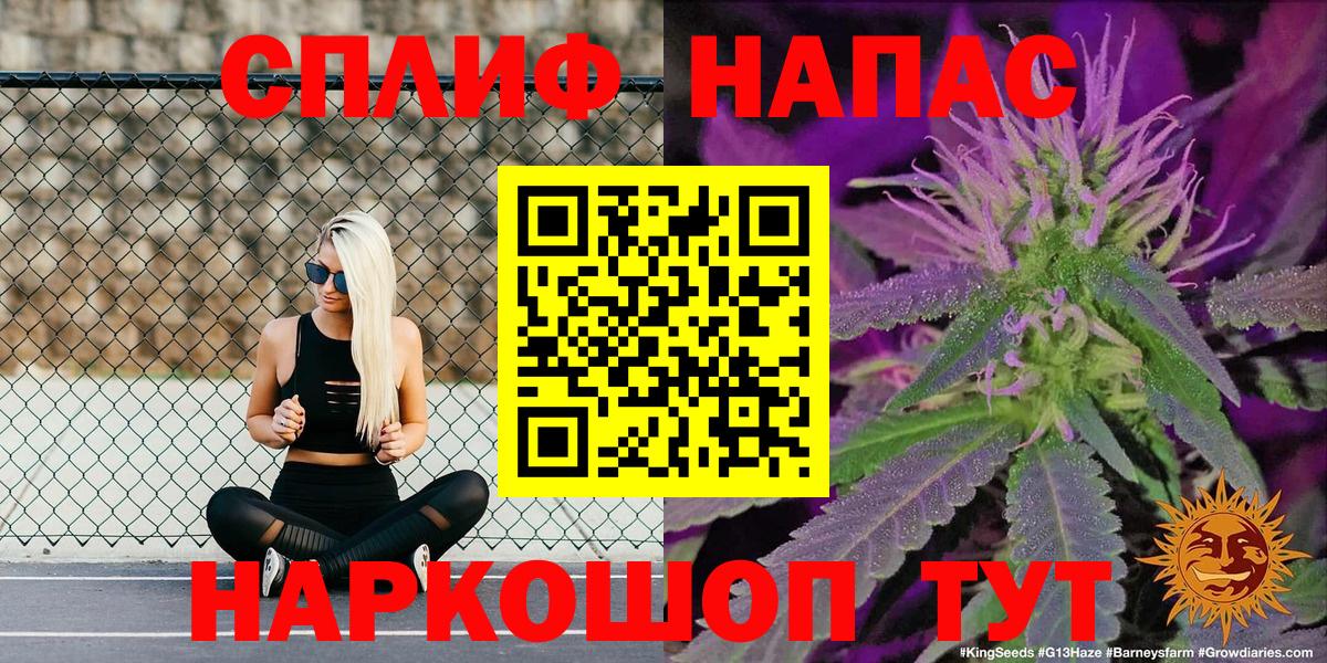Канабис гибрид Каспийск